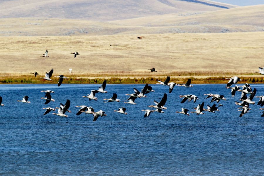 Javakheti National Park