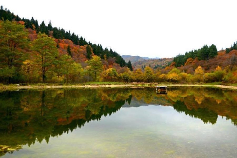 Algeti National Park 