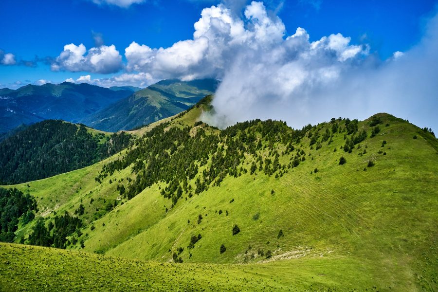 Borjom Kaharaguli national park