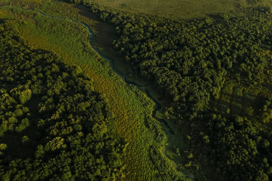 Kobuleti Protected Areas