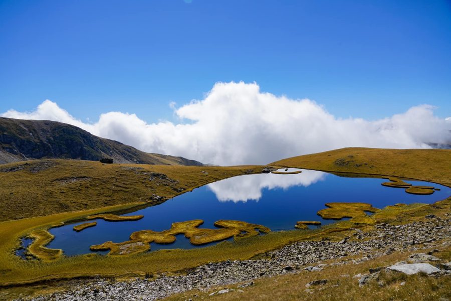 Lagodekhi Protected Areas