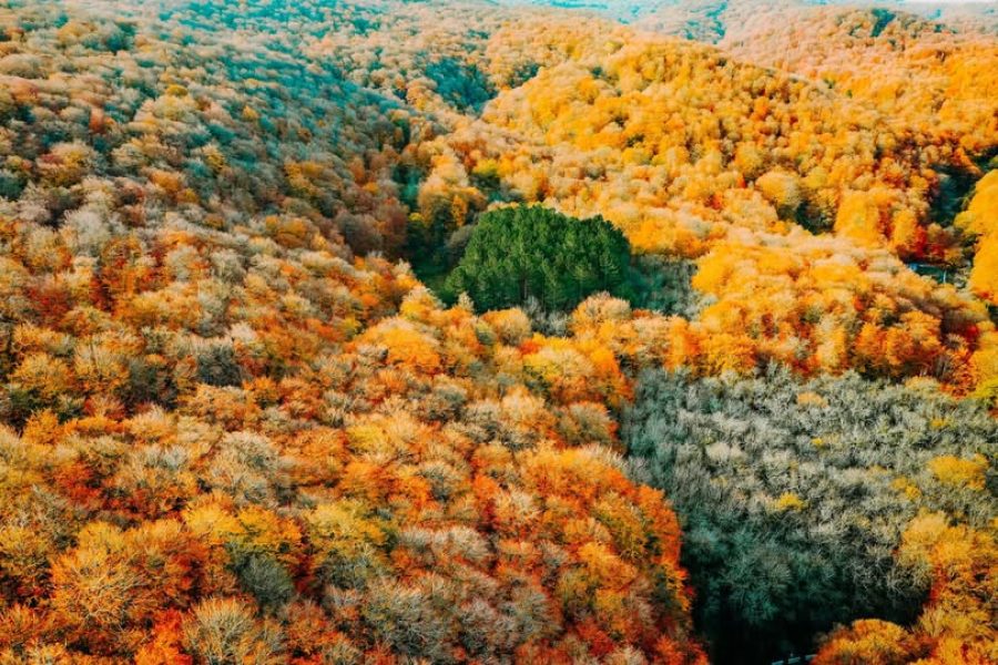 Tbilisi National Park