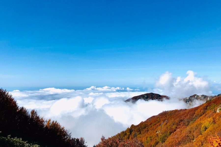 The Kintrishi Protected Areas