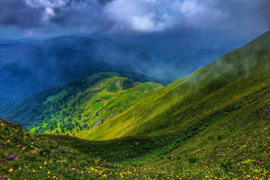 Babaneuri State Nature Reserve