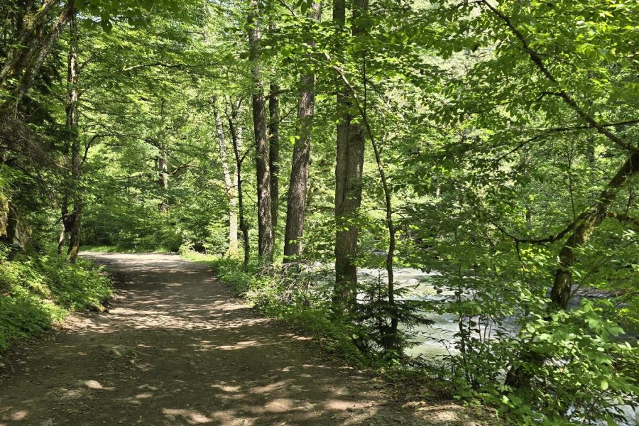 Borjomi park – sulphur baths